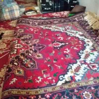 فرش دستباف|فرش|قرچک, شهرک الحدید|دیوار
