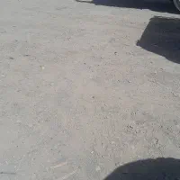 تریلی کرایه می خوام