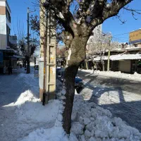 اجاره مغازه