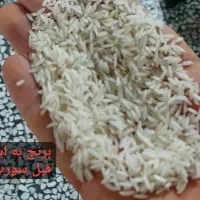 برنج ایرانی طارم هاشمی نیمدانه و سرلاشه