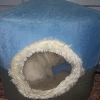 لانه و جای خواب گربه