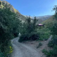 باغ میوه ۴۹۵ متر|فروش زمین و ملک کلنگی|بلده, |دیوار