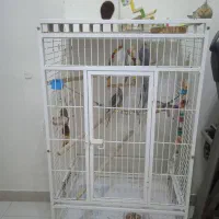 قفس پرنده