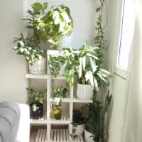 گلدان و گل طبیعی