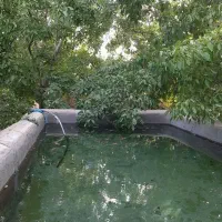 فروش باغ در روستای لاریچه|فروش خانه و ویلا|دهاقان, |دیوار