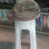 قفس طرقه