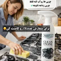 چربیزدا|مواد شوینده و دستمال کاغذی|درگز, |دیوار