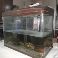 اکواریوم شیشه خم