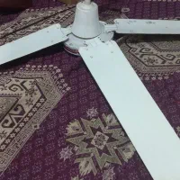 پنکه سقفی سالم سالم