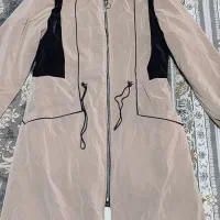 پالتو