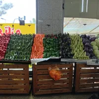 شراکت میوه فروشی
