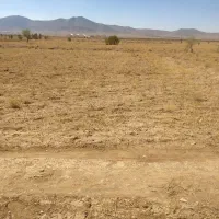 دوازده جریب زمین کشاورزی با شش جریب مجوز گلخانه|فروش زمین و ملک کلنگی|عسگران, |دیوار