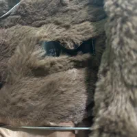 کاپشن تدی|لباس|قرچک, مهدیه|دیوار