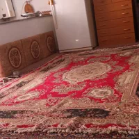 سبزی خردکن|خردکن، آسیاب، غذاساز|رشت, حمیدیان|دیوار