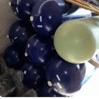 کپسول و رگلاتور CNG