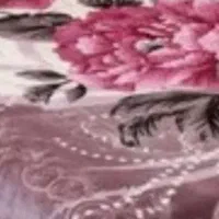 پتو عمده کارتنی ۱۲عدد بکنفره و۸عدد دونفره|رختخواب، بالش، پتو|لردگان, |دیوار