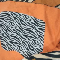 شال|لباس|کرج, دهقان ویلا|دیوار