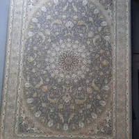 پخش فرش ۱۲۰۰شانه۷۰۰شانه۱۵۰۰شانه زیرقیمت بازار|فرش|مشکین‌دشت, |دیوار