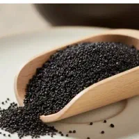 فروش چای سیلان کله مورچه فوق العاده ارزان