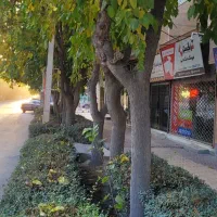 ۲۵متر تجاری امیریه شمالی|اجارهٔ مغازه و غرفه|بجنورد, |دیوار