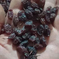 کشمش بیدانه آفتابی تاکستان پاک شده|خوردنی و آشامیدنی|تهران, بهداشت|دیوار