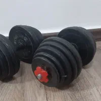 دمبل