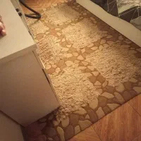 قالیچه اتاق|فرش|رشت, تازه آباد|دیوار