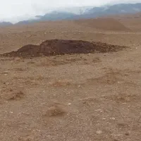 فروش انبار گوسفندی