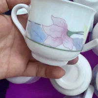 فنجان نلبکی ارکوپال فرانسه طرح فلو