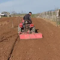 شخم باغ با تراکتور کمرشکن باغی