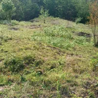 4617متر 500متر مسکونی|فروش زمین و ملک کلنگی|لاهیجان, آهندان|دیوار