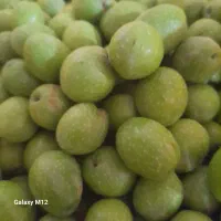 زیتون درجه یک مخصوص  شیرین کردن باقیمت  هرکیلو۶۰|خوردنی و آشامیدنی|زرین دشت (فارس), |دیوار