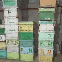 کندو و طبق و قاب چوبی برای پرورش زنبور عسل