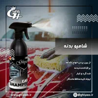 شوینده نانو|مواد شوینده و دستمال کاغذی|مهران (ایلام), |دیوار