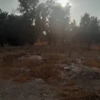 باغ زیتون، جمال آباد، ۳۶۰۰ متری|فروش زمین و ملک کلنگی|لوشان, |دیوار