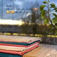 نمگیر آشپزخانه|لوازم نظافت|آق قلا, |دیوار