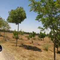 زمین باغ ویلایی شاندیزکنتورآب سندمعاوضه خودرو|فروش دفتر صنعتی، کشاورزی، تجاری|مشهد, استاد یوسفی (شهرک غرب)|دیوار