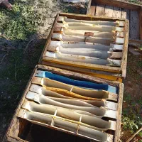 کندو خالی|حیوانات مزرعه|آبش احمد, |دیوار