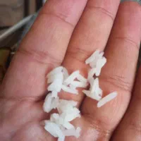برنج پاکستانی باسماتی به قیمت تعاونی (طرح حمایتی)|خوردنی و آشامیدنی|تبریز, |دیوار