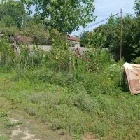 فروش زمین مسکونی کلیمان|فروش زمین و ملک کلنگی|رضوانشهر, |دیوار