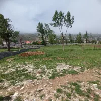 زمین ۳۲۵ متری