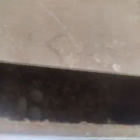 دو عدد عروس هلندی نر و ماده با قفس|پرنده|رودهن, |دیوار