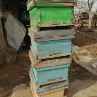 کندو کارکرده با رامکا