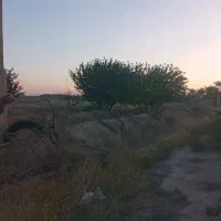 فروش زمین کشاورزی|فروش دفتر صنعتی، کشاورزی، تجاری|بناب, |دیوار