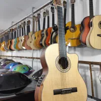 گیتار وارداتی فیشمن