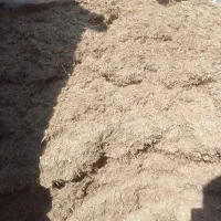 فروش کاه|لوازم جانبی حیوانات|امیدیه, |دیوار