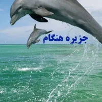 تور گشت جزیره با راننده محلی
