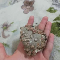 سنگ کوارتز