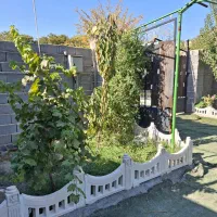 فروش زمین ۲۲۸ متررودکی