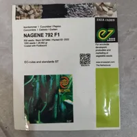بذر خیار گلخانه ای ناگین
